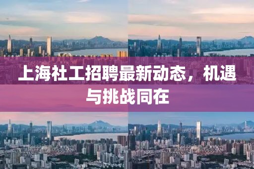 上海社工招聘最新動態(tài)，機遇與挑戰(zhàn)同在