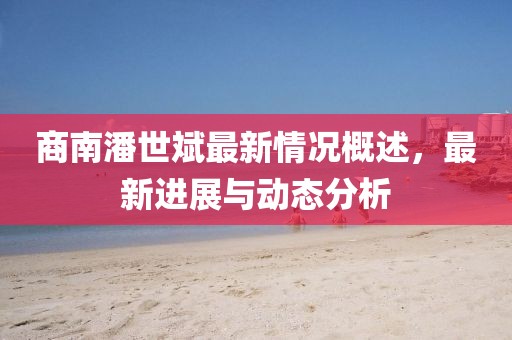 商南潘世斌最新情況概述，最新進展與動態(tài)分析