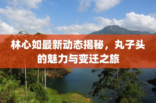 林心如最新動態(tài)揭秘，丸子頭的魅力與變遷之旅
