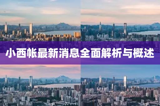 小西帳最新消息全面解析與概述