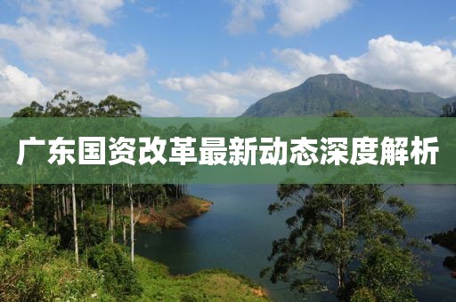廣東國資改革最新動(dòng)態(tài)深度解析