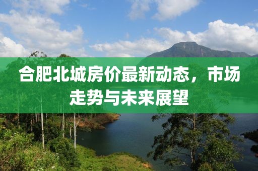 合肥北城房價最新動態(tài)，市場走勢與未來展望