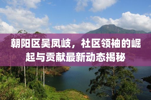 朝陽(yáng)區(qū)吳鳳岐，社區(qū)領(lǐng)袖的崛起與貢獻(xiàn)最新動(dòng)態(tài)揭秘