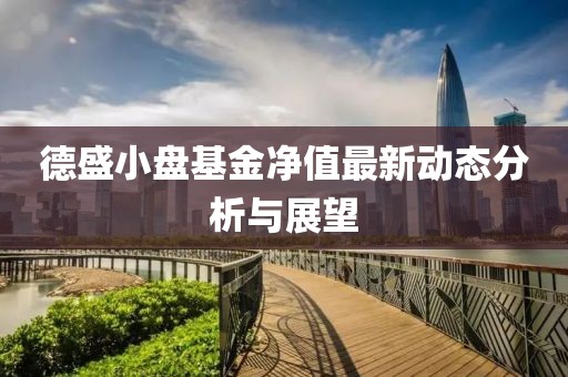 德盛小盤基金凈值最新動(dòng)態(tài)分析與展望