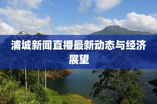 浦城新聞直播最新動態(tài)與經(jīng)濟展望