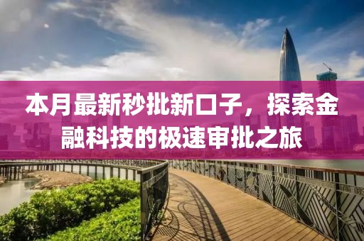 本月最新秒批新口子，探索金融科技的極速審批之旅