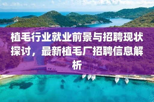 植毛行業(yè)就業(yè)前景與招聘現(xiàn)狀探討，最新植毛廠招聘信息解析