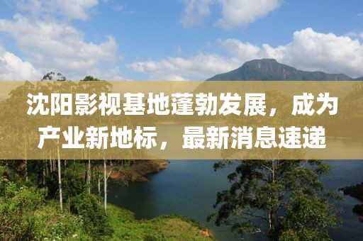 沈陽影視基地蓬勃發(fā)展，成為產(chǎn)業(yè)新地標(biāo)，最新消息速遞