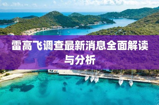 雷高飛調(diào)查最新消息全面解讀與分析
