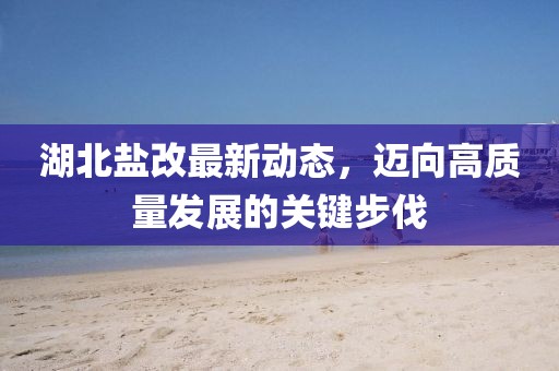 湖北鹽改最新動態(tài)，邁向高質(zhì)量發(fā)展的關鍵步伐