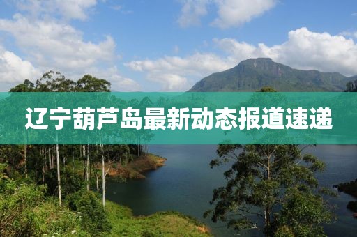 遼寧葫蘆島最新動態(tài)報道速遞