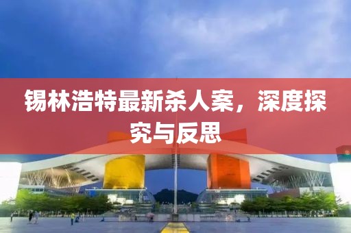 錫林浩特最新殺人案，深度探究與反思