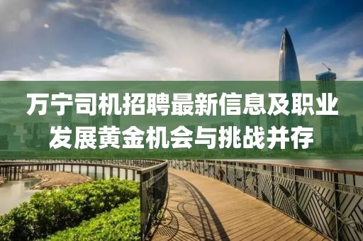 萬寧司機(jī)招聘最新信息及職業(yè)發(fā)展黃金機(jī)會(huì)與挑戰(zhàn)并存