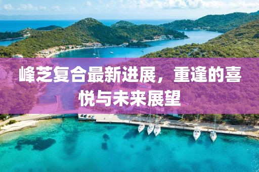峰芝復(fù)合最新進(jìn)展，重逢的喜悅與未來(lái)展望