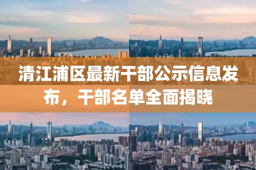 清江浦區(qū)最新干部公示信息發(fā)布，干部名單全面揭曉