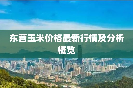 東營(yíng)玉米價(jià)格最新行情及分析概覽