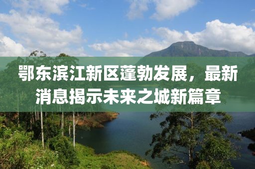 鄂東濱江新區(qū)蓬勃發(fā)展，最新消息揭示未來(lái)之城新篇章