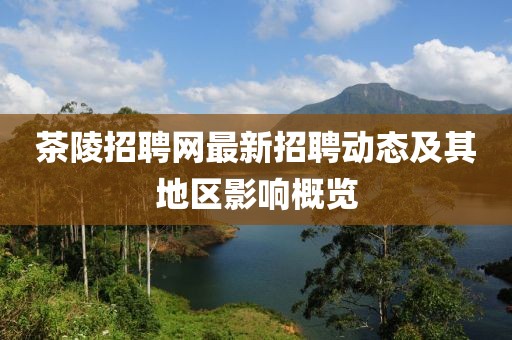 茶陵招聘網(wǎng)最新招聘動(dòng)態(tài)及其地區(qū)影響概覽