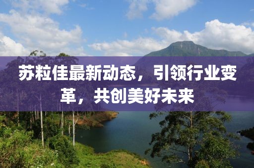 蘇粒佳最新動態(tài)，引領行業(yè)變革，共創(chuàng)美好未來
