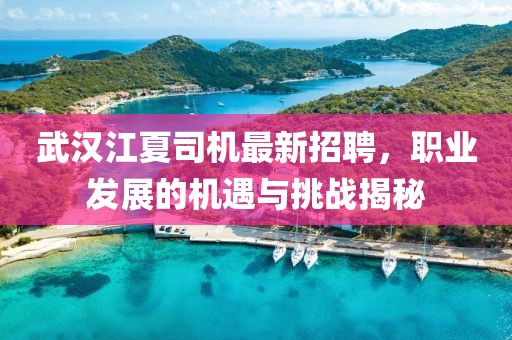 武漢江夏司機最新招聘，職業(yè)發(fā)展的機遇與挑戰(zhàn)揭秘
