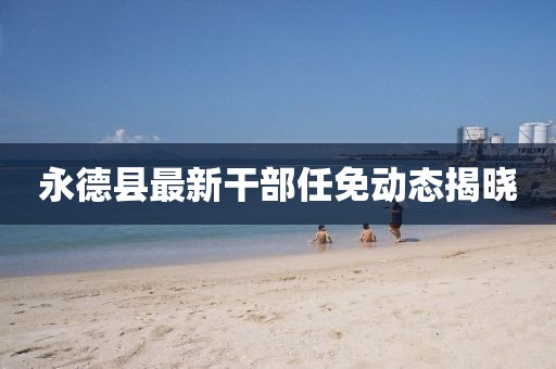 永德縣最新干部任免動態(tài)揭曉