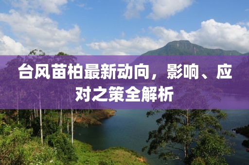 臺風(fēng)苗柏最新動向，影響、應(yīng)對之策全解析