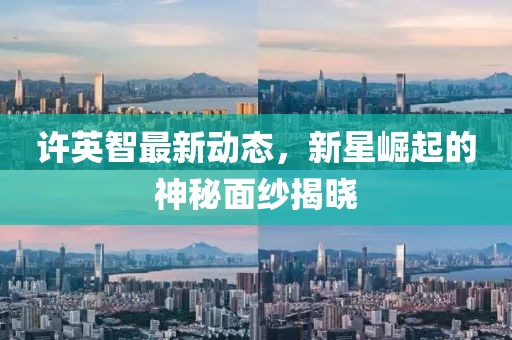 許英智最新動態(tài)，新星崛起的神秘面紗揭曉