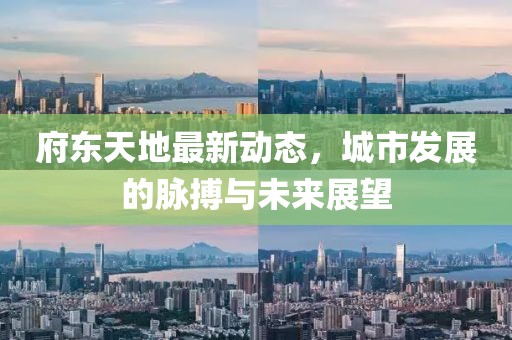 府東天地最新動(dòng)態(tài)，城市發(fā)展的脈搏與未來展望