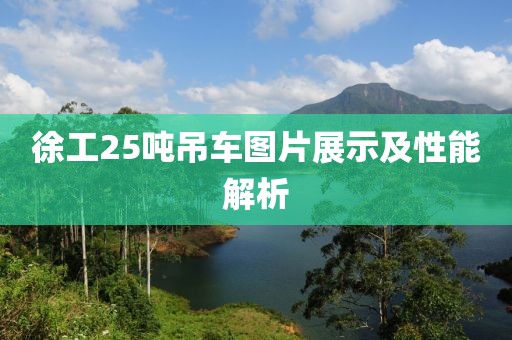 徐工25噸吊車圖片展示及性能解析