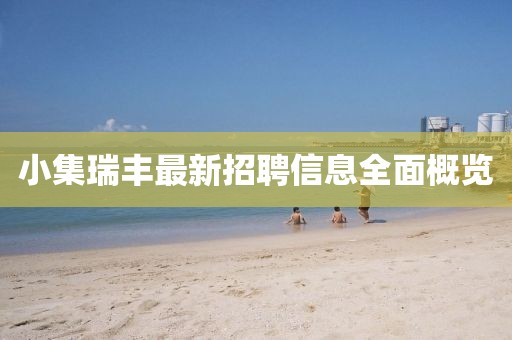 小集瑞豐最新招聘信息全面概覽