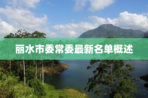 麗水市委常委最新名單概述