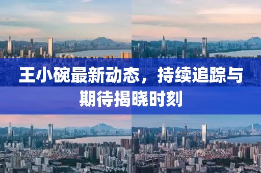 王小碗最新動(dòng)態(tài)，持續(xù)追蹤與期待揭曉時(shí)刻