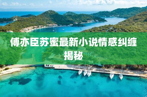 傅亦臣蘇蜜最新小說情感糾纏揭秘