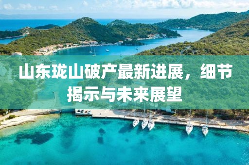 山東瓏山破產(chǎn)最新進(jìn)展，細(xì)節(jié)揭示與未來展望