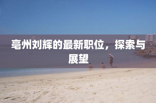 亳州劉輝的最新職位，探索與展望