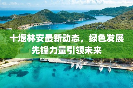 十堰林安最新動(dòng)態(tài)，綠色發(fā)展先鋒力量引領(lǐng)未來