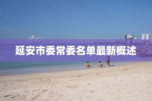 2025年4月5日 第13頁