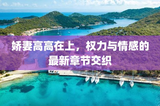 嬌妻高高在上，權(quán)力與情感的最新章節(jié)交織