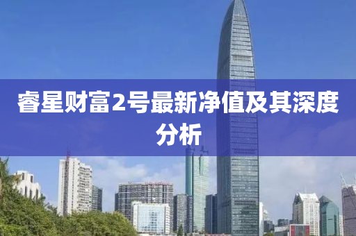 睿星財(cái)富2號(hào)最新凈值及其深度分析