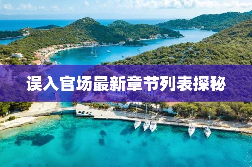誤入官場(chǎng)最新章節(jié)列表探秘