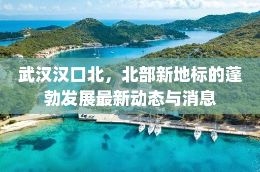 武漢漢口北，北部新地標(biāo)的蓬勃發(fā)展最新動態(tài)與消息