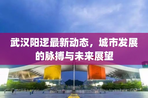 武漢陽邏最新動態(tài)，城市發(fā)展的脈搏與未來展望