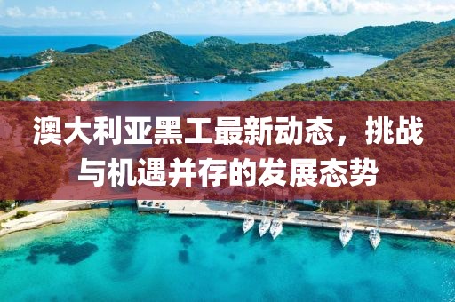 澳大利亞黑工最新動態(tài)，挑戰(zhàn)與機遇并存的發(fā)展態(tài)勢