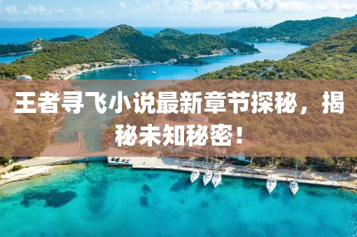 王者尋飛小說最新章節(jié)探秘，揭秘未知秘密！