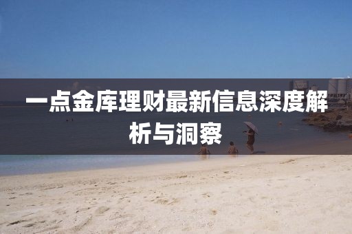 一點金庫理財最新信息深度解析與洞察