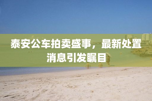 泰安公車拍賣盛事，最新處置消息引發(fā)矚目