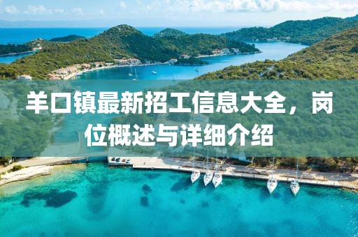 羊口鎮(zhèn)最新招工信息大全，崗位概述與詳細(xì)介紹