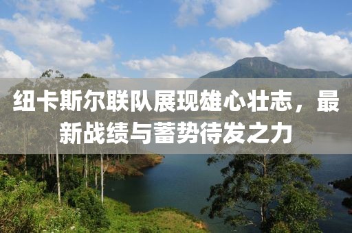紐卡斯?fàn)柭?lián)隊展現(xiàn)雄心壯志，最新戰(zhàn)績與蓄勢待發(fā)之力
