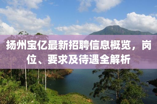 揚州寶億最新招聘信息概覽，崗位、要求及待遇全解析