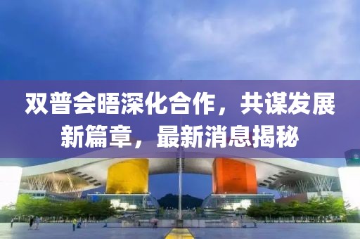 雙普會(huì)晤深化合作，共謀發(fā)展新篇章，最新消息揭秘